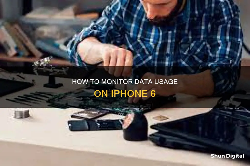 does iphone 6 have data usage monitor