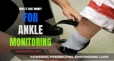 Ankle Monitoring: Who Pays for Criminals' Surveillance?