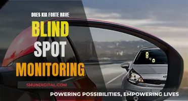 Kia Forte's Blind Spot Monitoring: Is It Worthy?