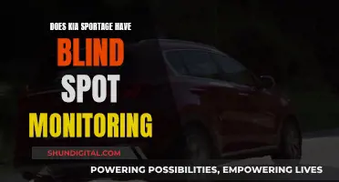 Kia Sportage: Blind Spot Monitoring Feature Explained