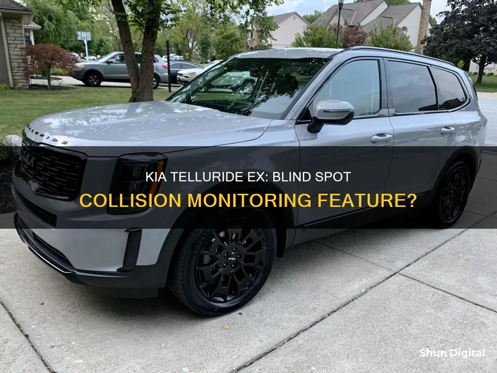 does kia telluride ex have blind spot collision monitoring