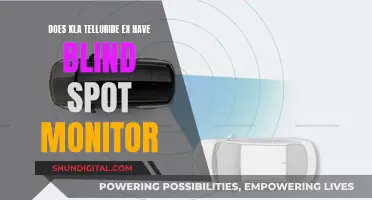 Blind Spot Monitor: Kia Telluride EX's Hidden Feature