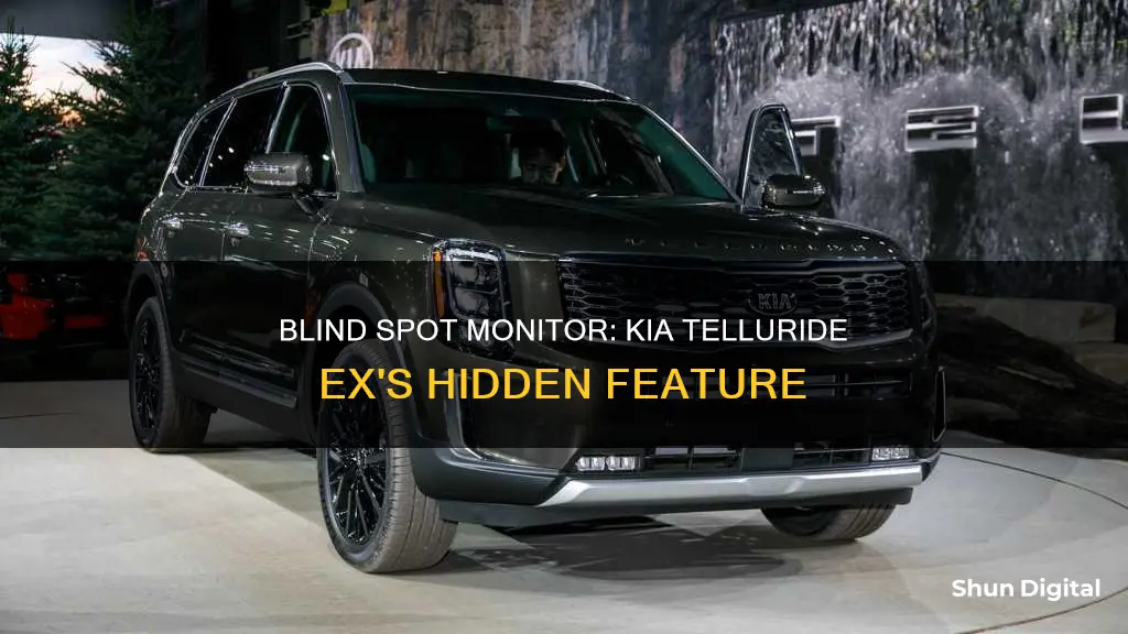 does kla telluride ex have blind spot monitor