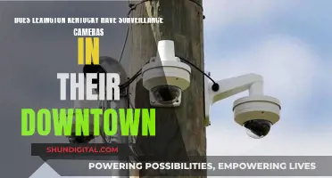 Surveillance in Lexington: Cameras in the Heart of Kentucky