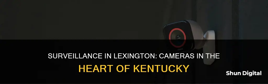 does lexington kentucky have surveillance cameras in their downtown