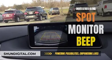 Lexus Blind Spot Monitor: Beeping and Your Safety