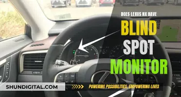 Lexus NX: Blind Spot Monitor Availability and Performance