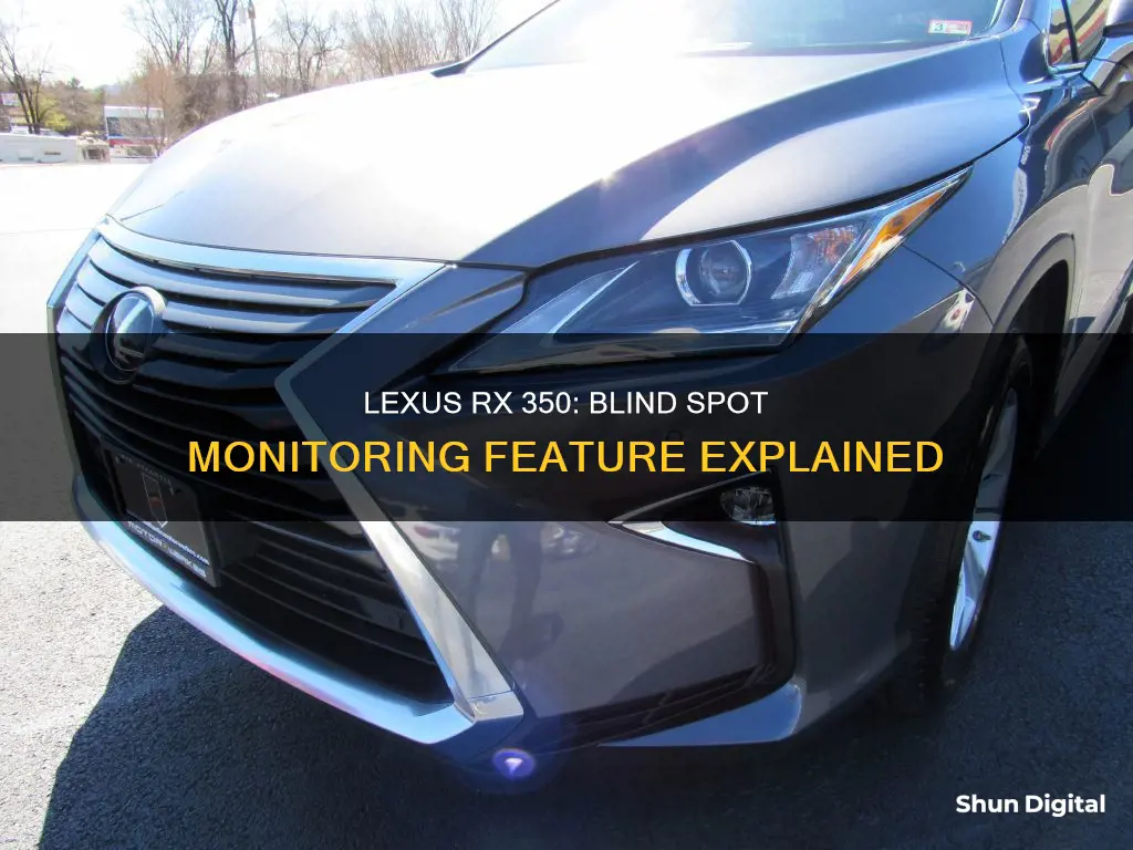 does lexus rx 350 have blind spot monitoring