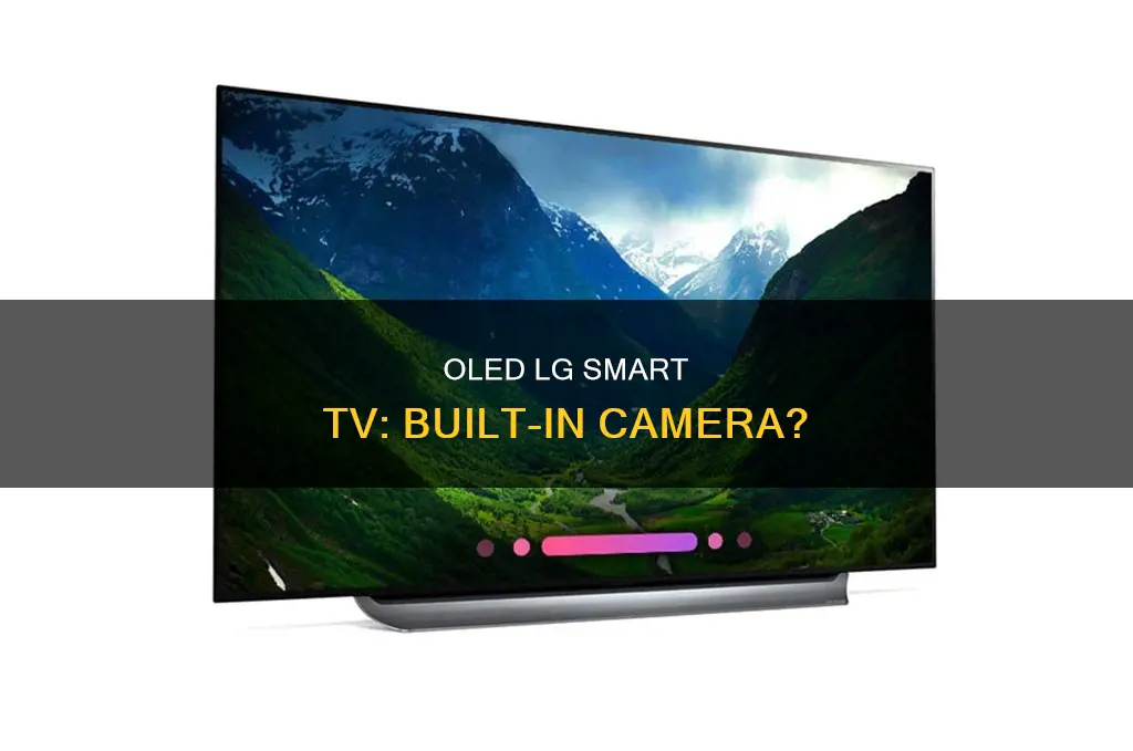 does lg oled smart tv comes with a camera