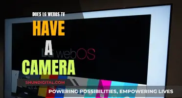 WebOS TV: Built-in Camera Convenience?