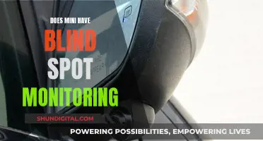 Blind Spot Monitoring: A Mini Safety Feature?