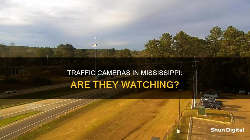 does mississippi have traffic cameras