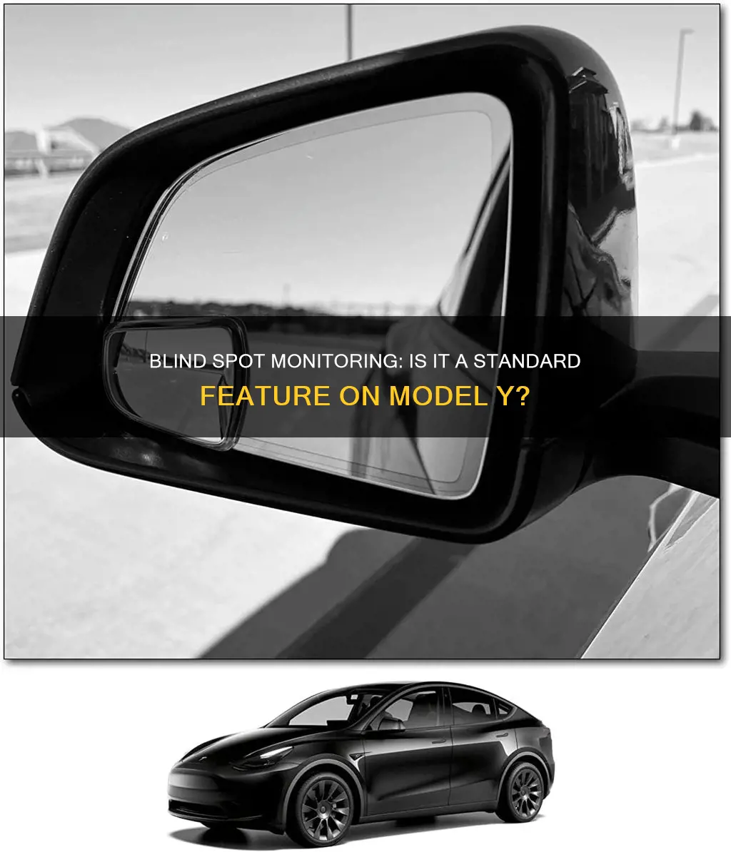 does model y have blind spot monitoring