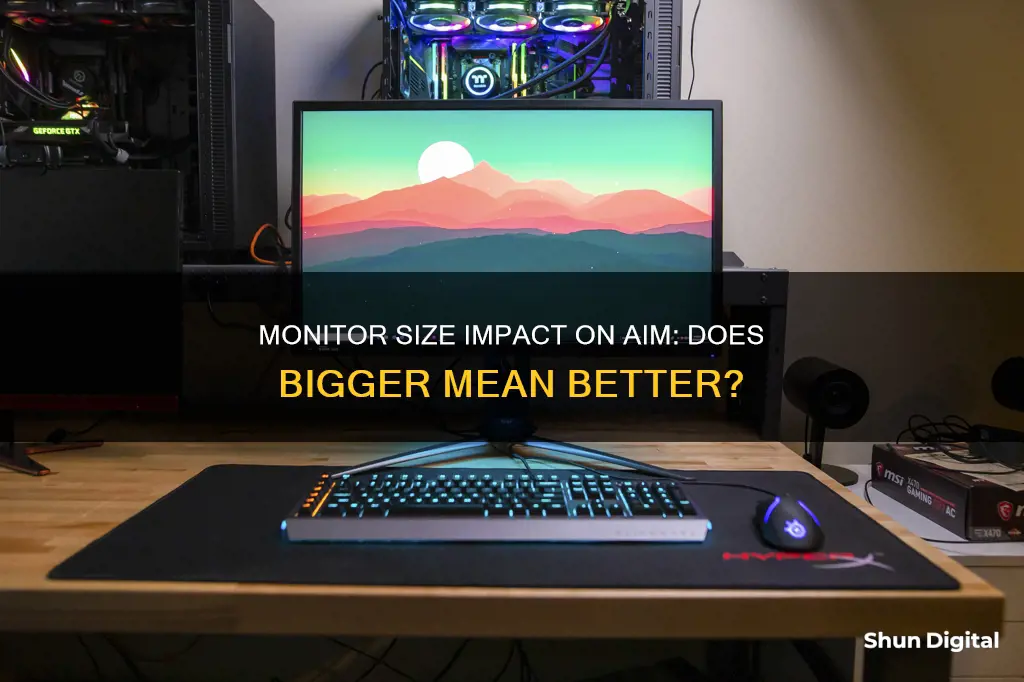 does monitor size affect aim