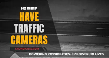 Traffic Cameras in Montana: Are They Watching?