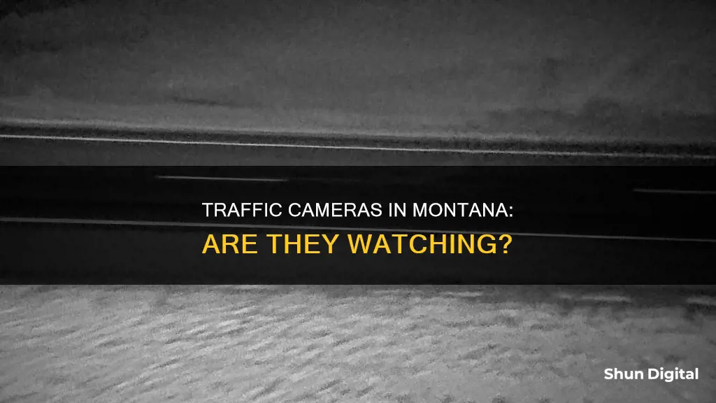 does montana have traffic cameras