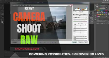Understanding RAW Photography: Does Your Camera Support It?