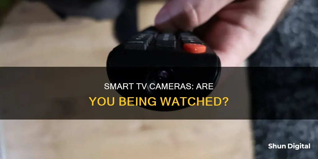 does my smart tv have a camera