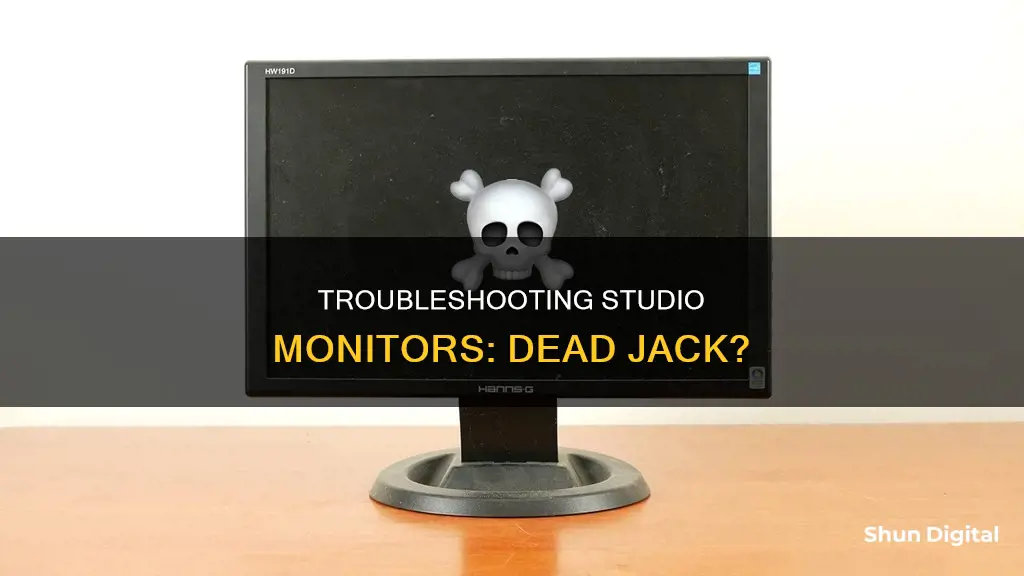 does my studio monitor have a dead jack