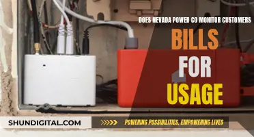 Nevada Power Co: Monitoring Customer Usage and Bills?