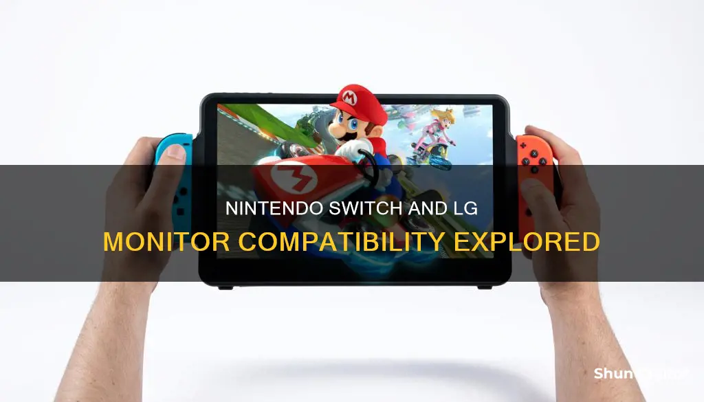 does nintendo switch support lg monitor