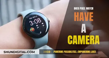 Pixel Watch: Camera Expectations and Realities