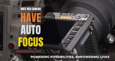 The Red Camera's Autofocus Feature: A Comprehensive Overview