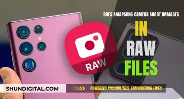 Samsung Cameras: Can You Capture Images in RAW?