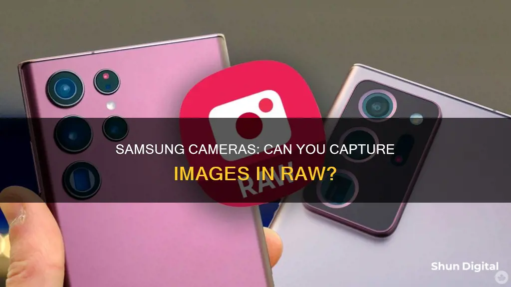 does smapsung camera shoot immages in raw files