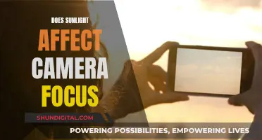 Sunlight and Camera Focus: Impact and Adjustments