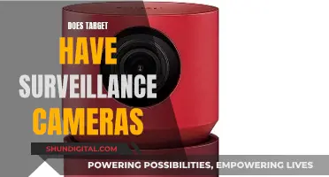 Target's Surveillance: Are Shoppers Being Watched?