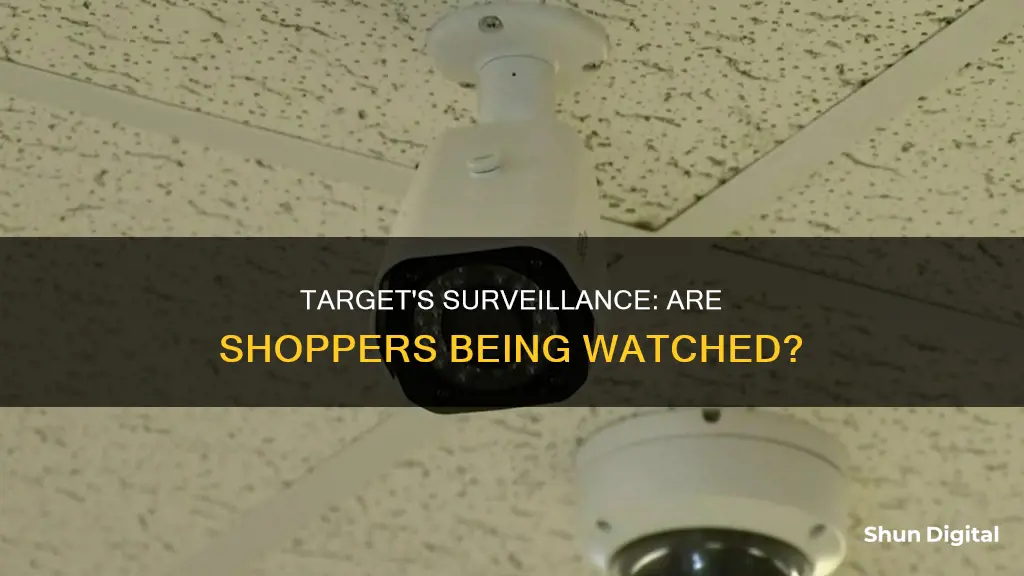 does target have surveillance cameras