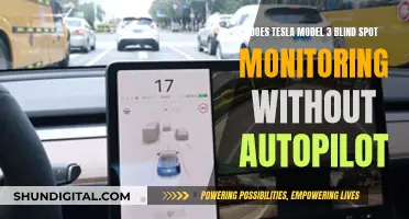 Blind Spot Monitoring: Tesla Model 3's Autopilot Advantage