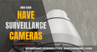 Texas Surveillance: Cameras Watching the Lone Star State