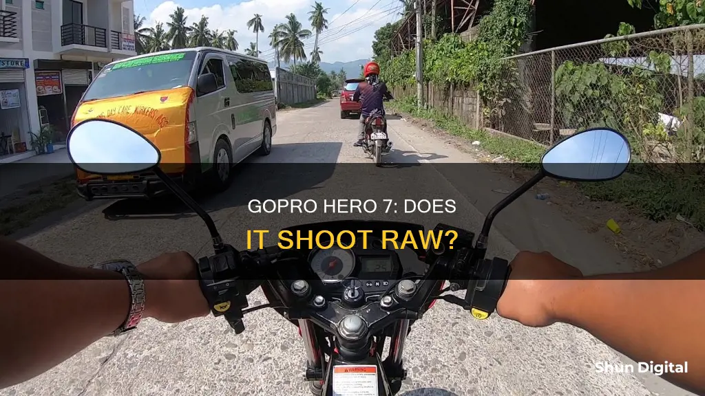 does the gopro hero 7 shot in camera raw