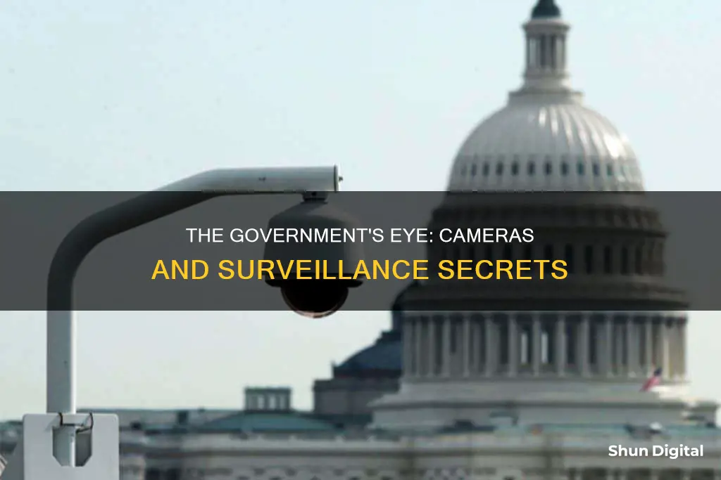 does the government really see through cameras