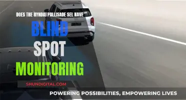 Hyundai Palisade SEL: Blind Spot Monitoring Feature Explained