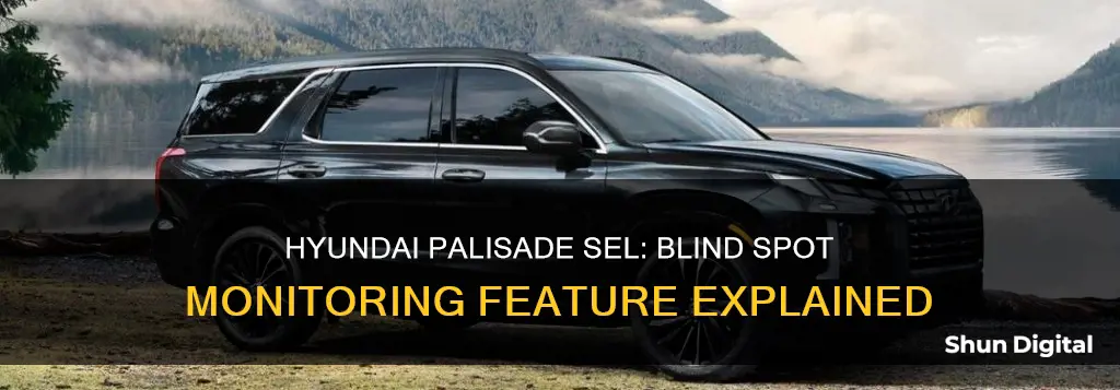 does the hyndai pallisade sel have blind spot monitoring