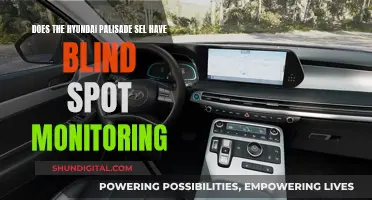 Hyundai Palisade SEL: Blind Spot Monitoring Availability