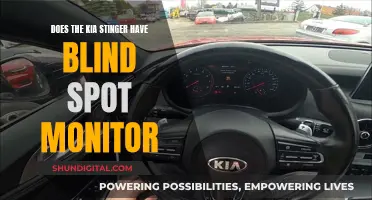 Kia Stinger: Blind Spot Monitor Availability and Performance