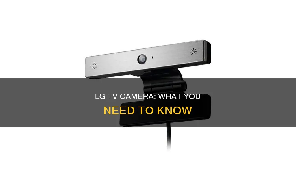 does the lg tv have a camera