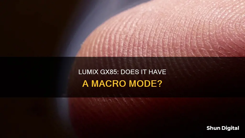 does the lumix gx85 camera have a macro mode