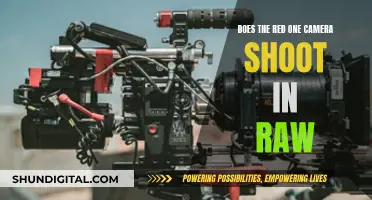 RAW Capture: Red One Camera's Superpower