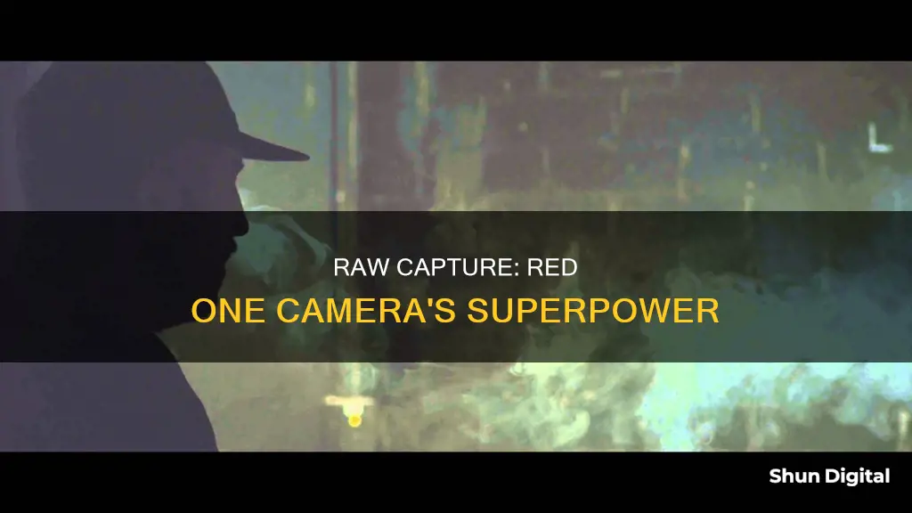 does the red one camera shoot in raw