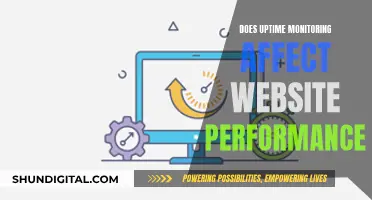 Uptime Monitoring: Website Performance Friend or Foe?