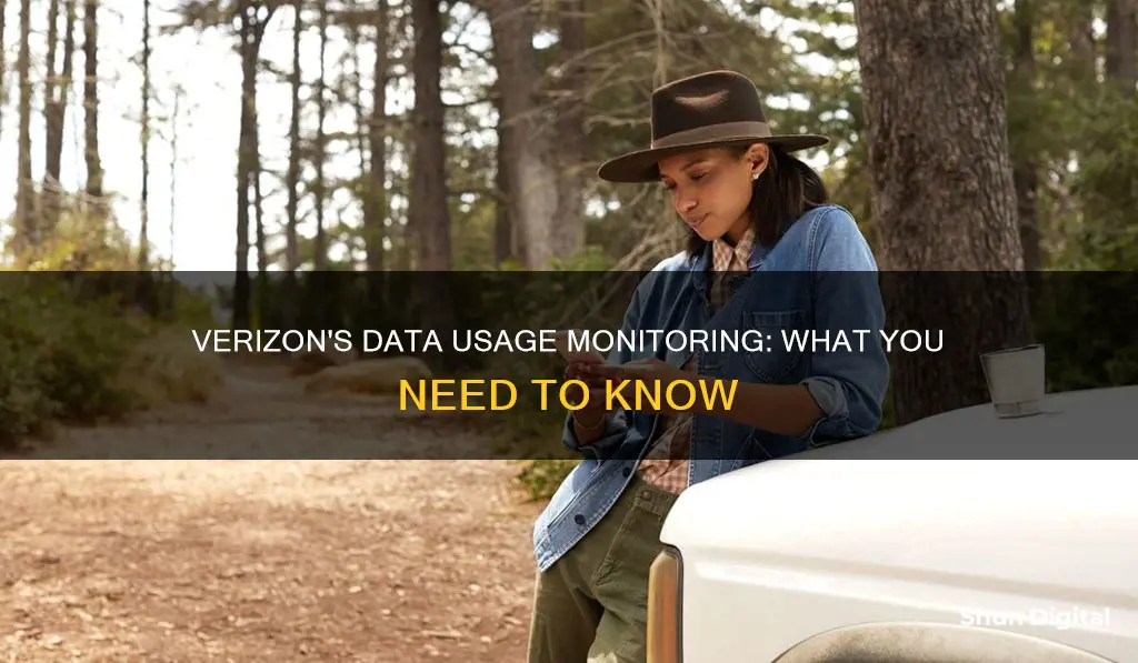 does verizon monitor data usage