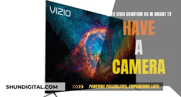 Visio Quantum 65 Smart TV: Camera Included?