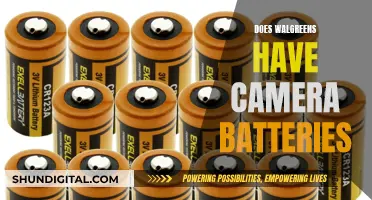 Where to Buy Camera Batteries: Walgreens and Beyond