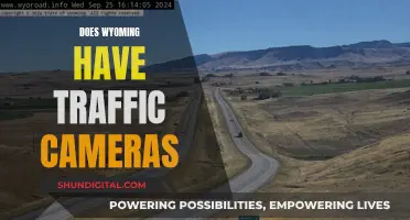 Traffic Cameras in Wyoming: Are You Being Watched?