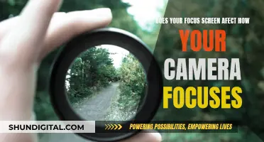 How Focus Screens Impact Camera Focusing Performance